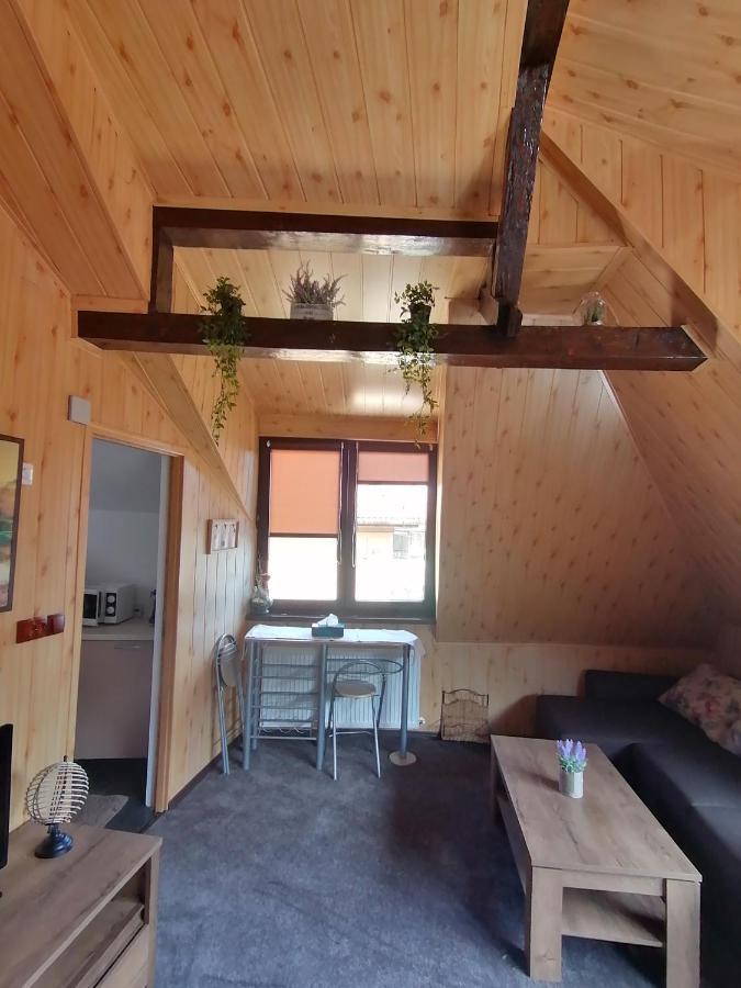 Cozy Attic Studio Μπρασόβ Εξωτερικό φωτογραφία