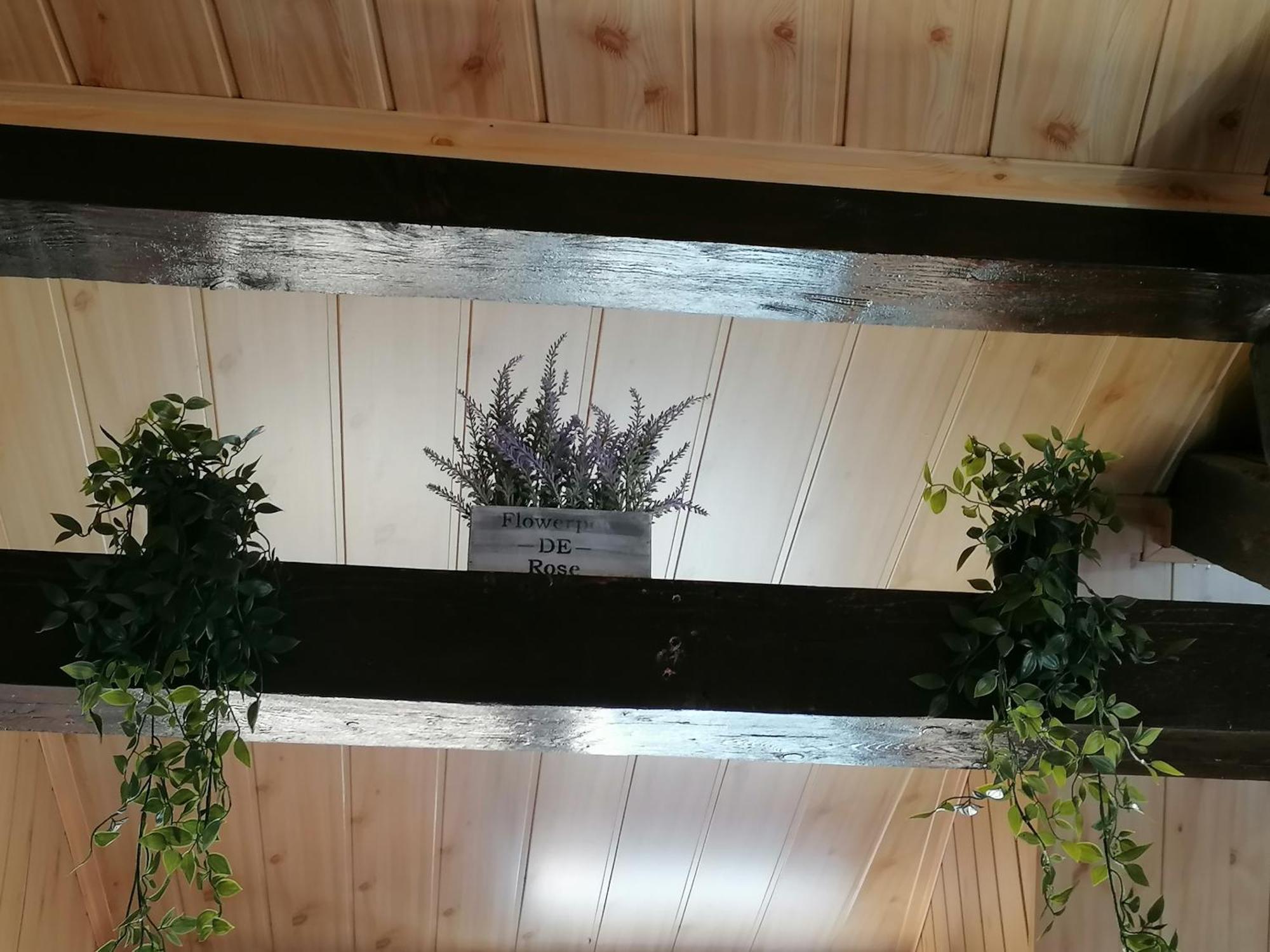 Cozy Attic Studio Μπρασόβ Εξωτερικό φωτογραφία